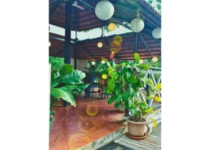 holiday resort near Calangute Goa